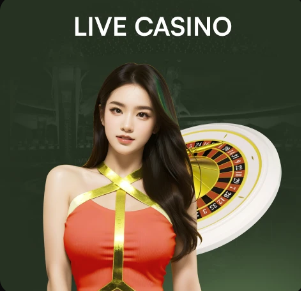 里昂vs洛里昂：梅特兰